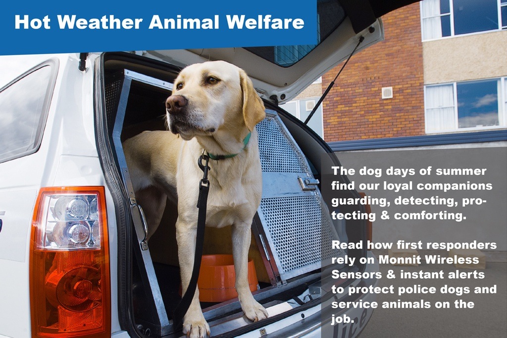 pet welfare monitoring