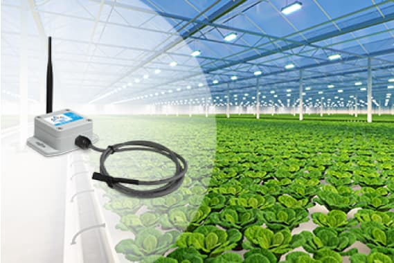 Grow Better in Smart Facilities and Environments