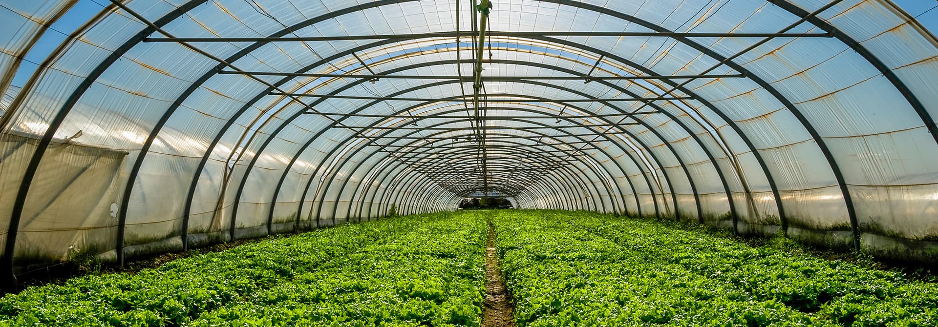 smart farming greenhouse automation
